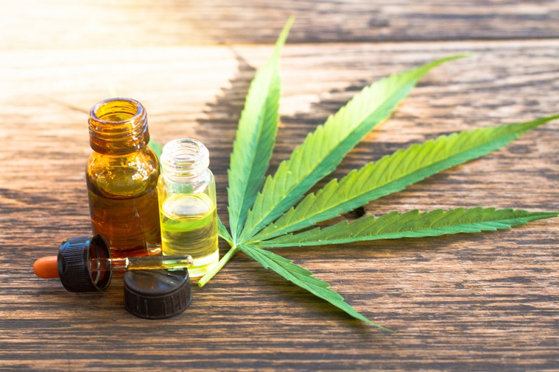 Why Has There Been an Increasing Demand for Cannabis?